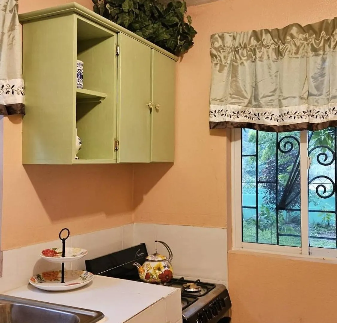 דירות Jade Coast Getaway Near מונטגו ביי