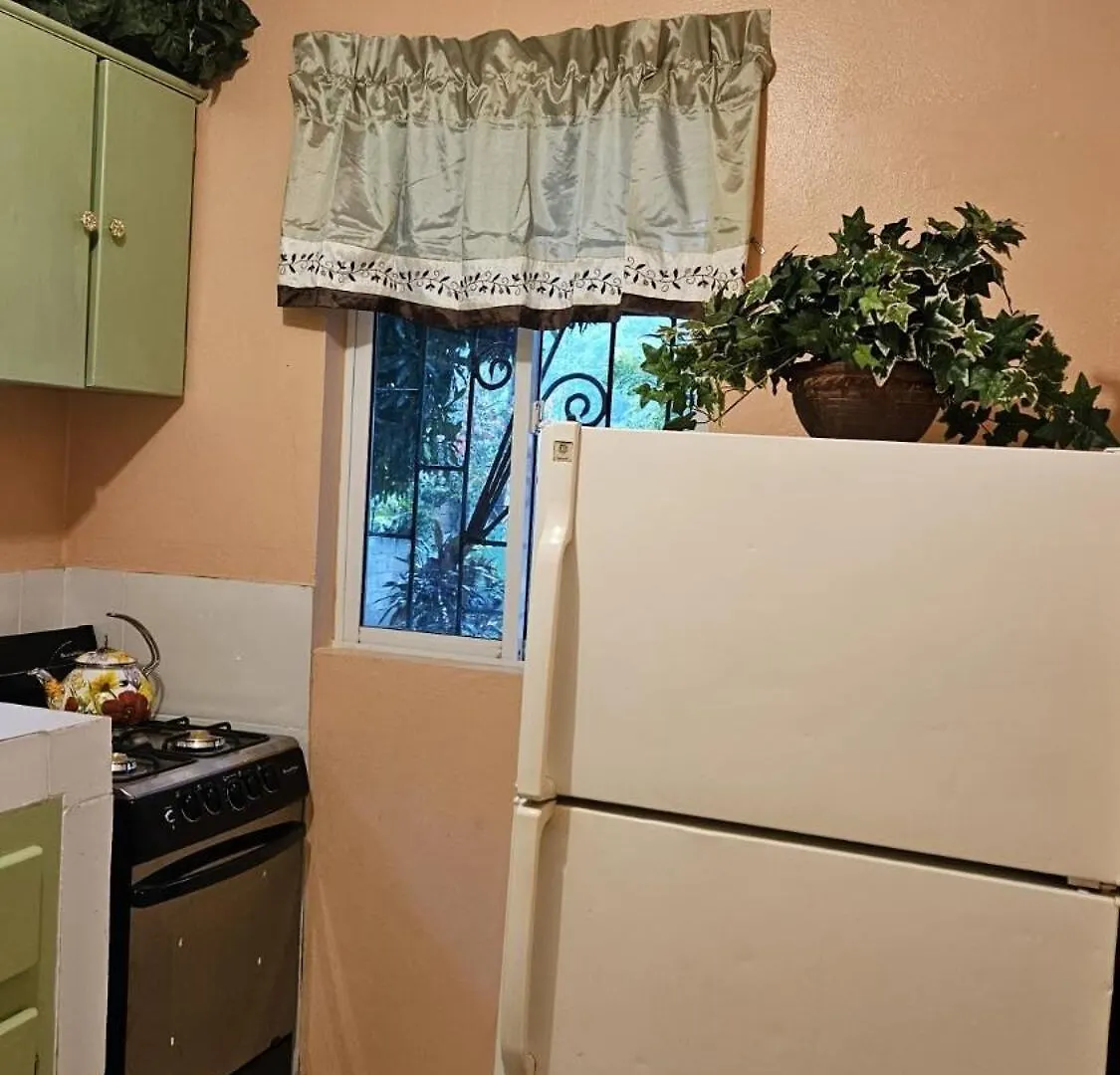 דירות Jade Coast Getaway Near מונטגו ביי 0*,  ג'מייקה